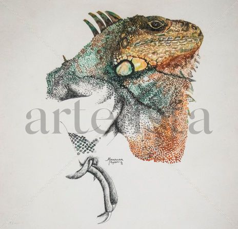 Iguana