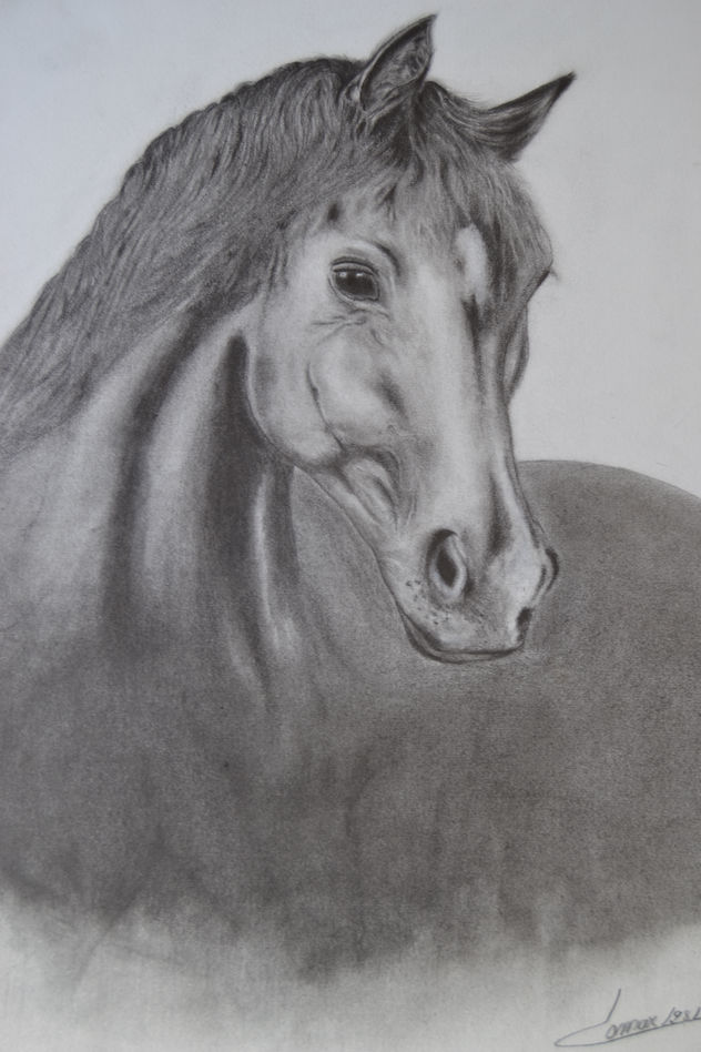 CABALLO