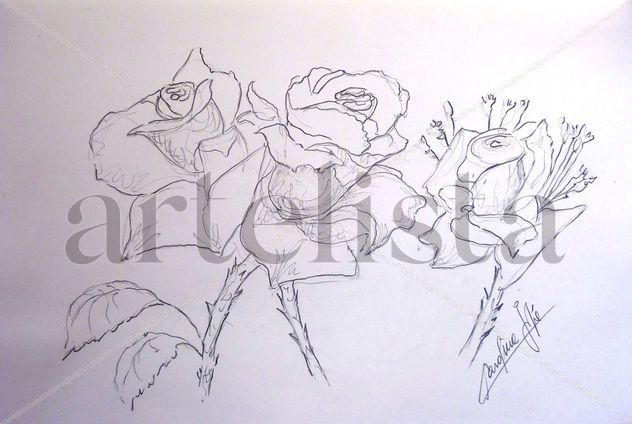 ROSAS