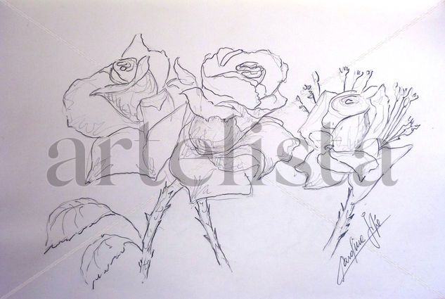 ROSAS Graphite