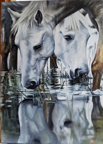 White horses