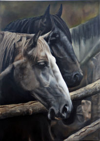 Spanish horses