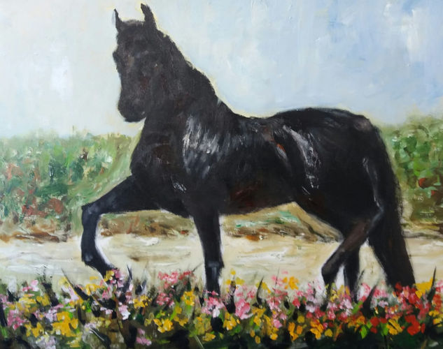 Caballo de paso peruano Acrylic Canvas Animals