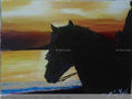 caballo y las marismas
