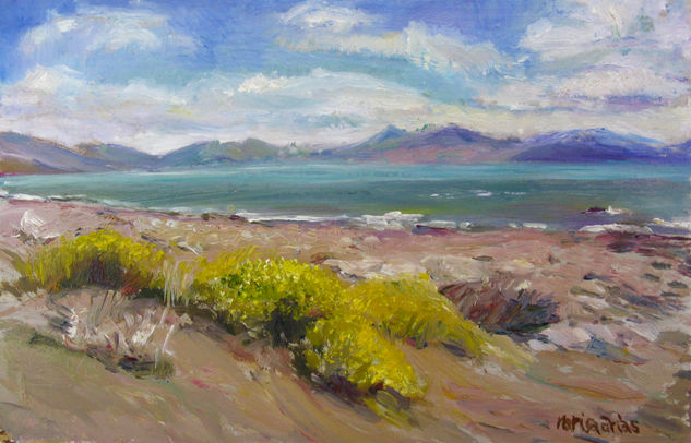 Lago Argentino Oil Panel Landscaping