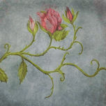 Rosas thumbnail 2