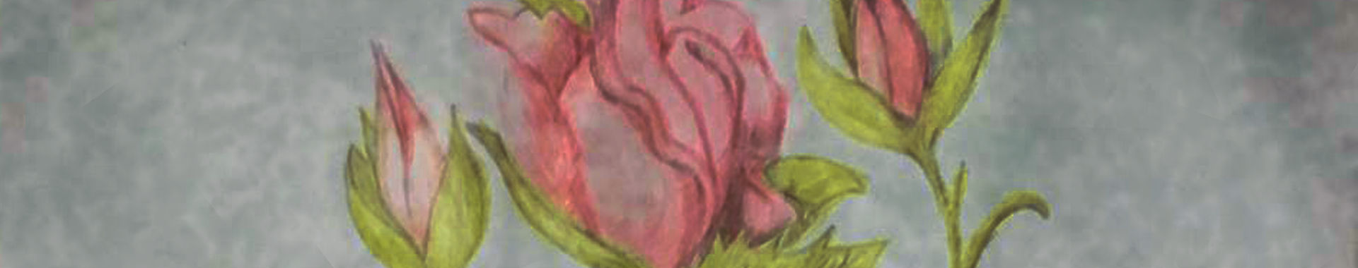 Imagen de portada