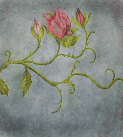 #2Rosa