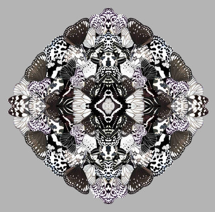 Midday Metamorphosis