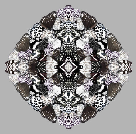 Midday Metamorphosis
