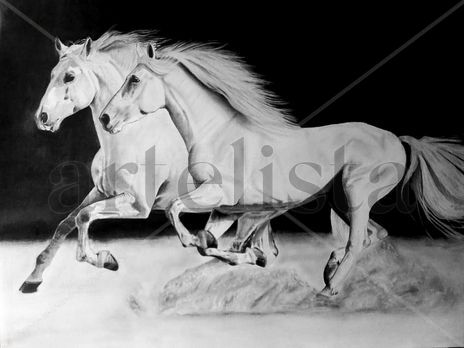 Caballos