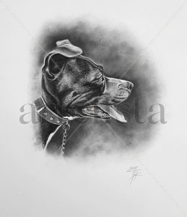 Retrato de un perro