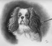 Retrato de un perro