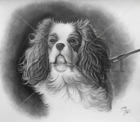 Retrato de un perro