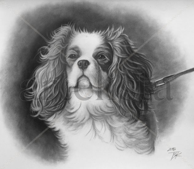 Retrato de un perro