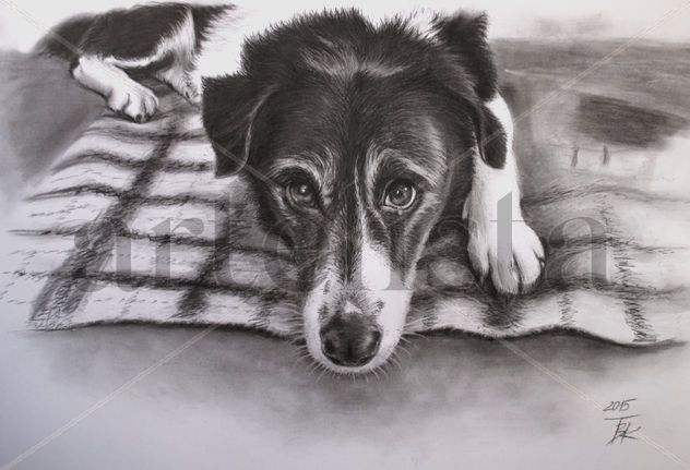 Retrato de un perro