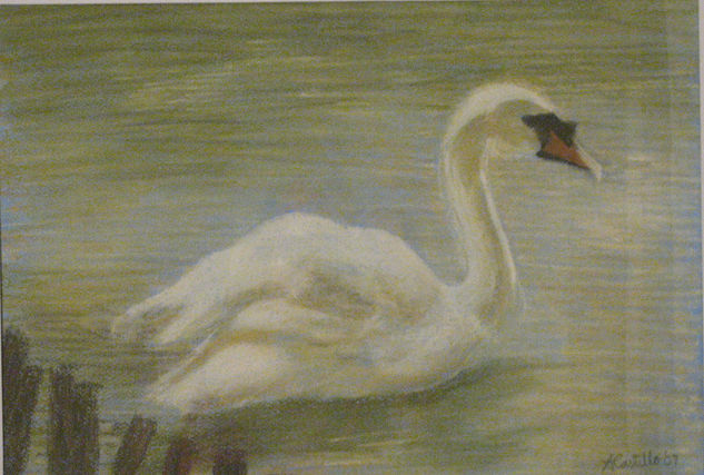 Cisne Pastel Papel Animales