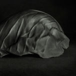 Still Life thumbnail 2