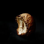 Still Life thumbnail 1