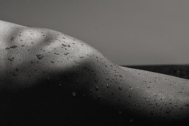 Bodyscape N2