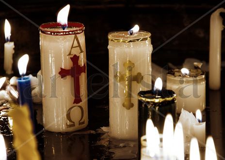 Luz de la vida