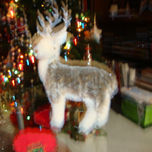 Navidad thumbnail 1