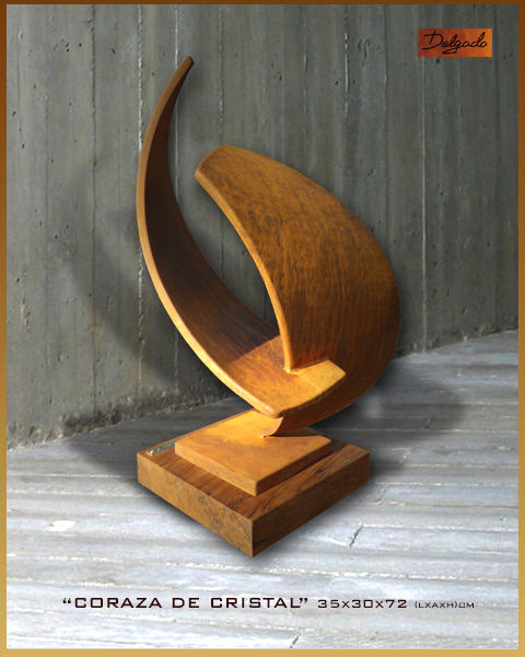 CORAZA DE CRISTAL