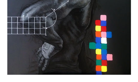 genero y color