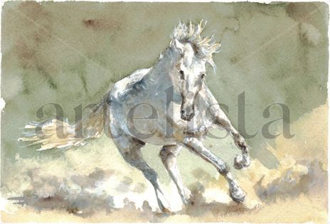 Caballo veloz