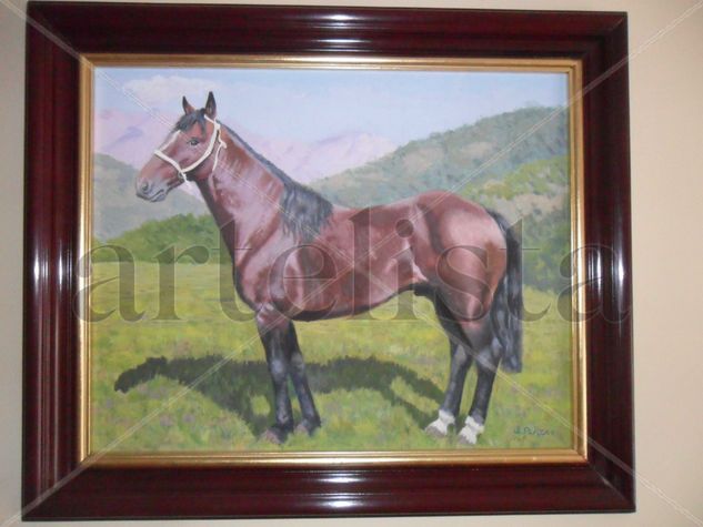 caballo chileno 1 Oil Canvas Animals