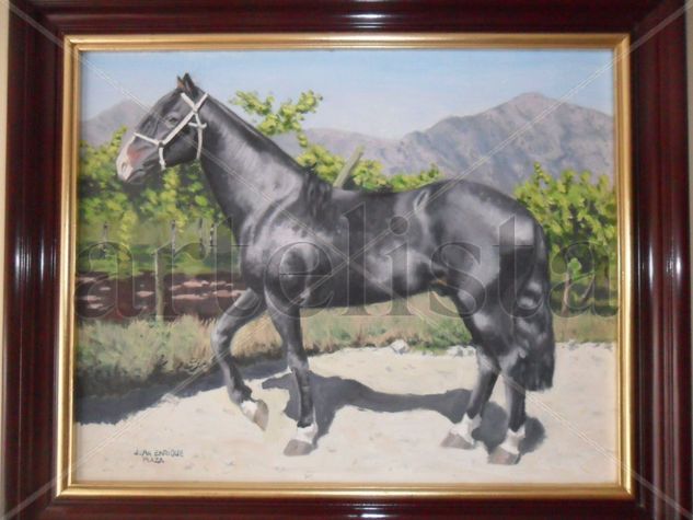 caballo 2 Oil Canvas Animals