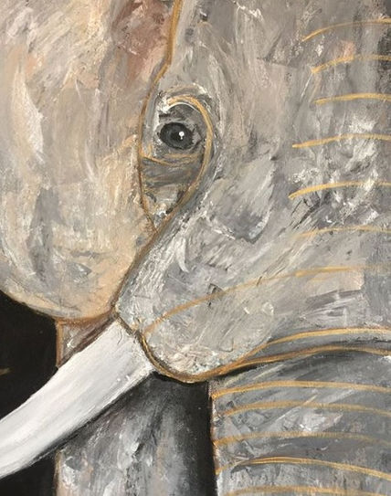 Mirada de Elefante
