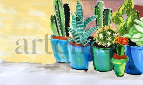 Macetas de Cactus...