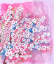 Cerezo en flor