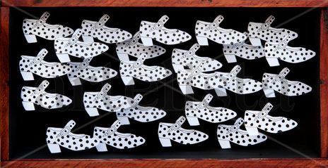 Zapatos de flamenco