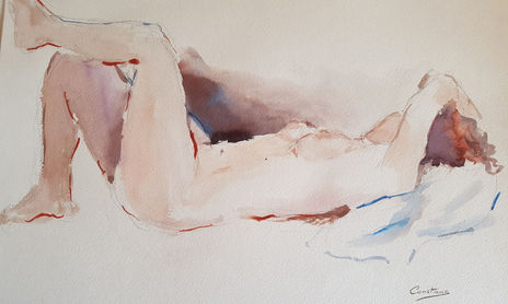 Mis desnudos