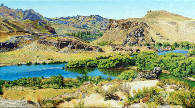 El Valle Encantado - Neuquén y Rio Negro Óleo Tela Paisaje