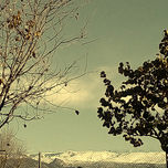 Fotografía thumbnail 2