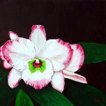 SERIE ORQUIDEAS thumbnail 1