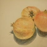 Paisajes cercanos thumbnail 1