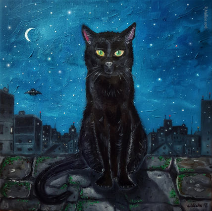 Visión Nocturna