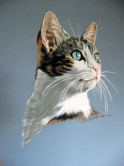 ¿Que miras, mi gato? Pastel Paper Animals