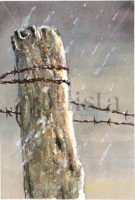 Nevando