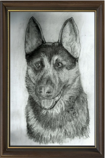 Espiritu Animal
