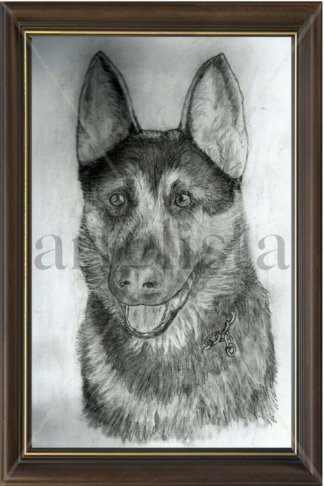 Espiritu Animal