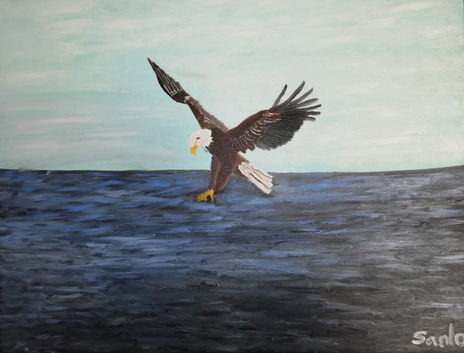 Aguila 1.1