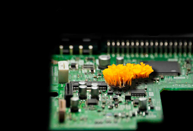 Serie Natumáquina PCB I Nature Alternative techniques