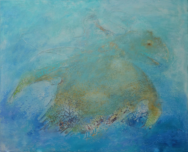 Olivia - La tortuga rescatada