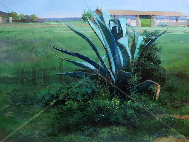 "la pita" Oil Canvas Landscaping