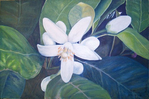 Flor de Naranjo Oil Panel Floral Painting